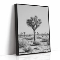 Guardians of the Arid Horizon