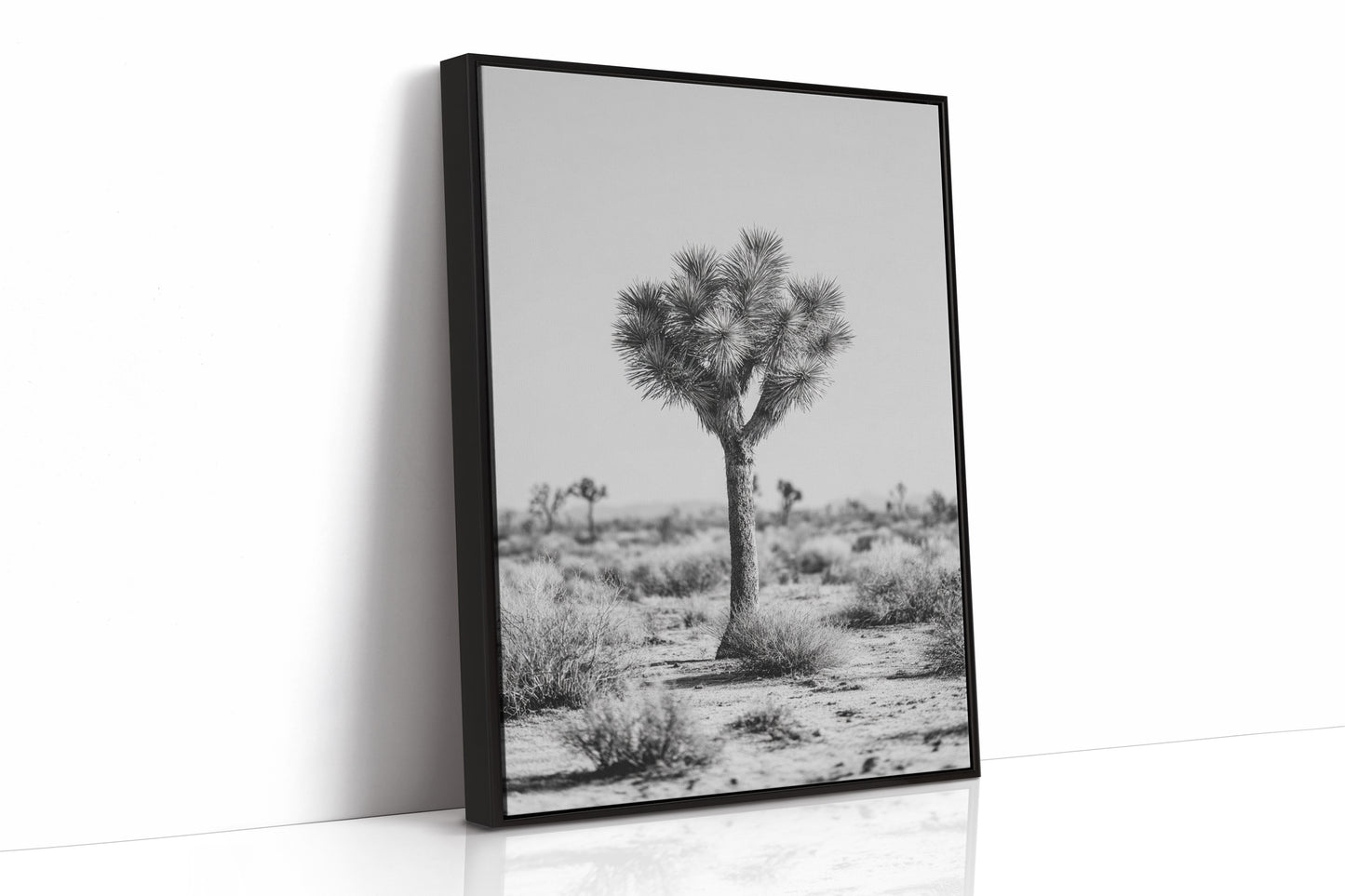 Guardians of the Arid Horizon