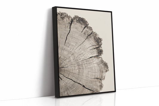 Chronicles Etched in Grain