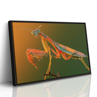 Dew-Kissed Mantis at Dawn