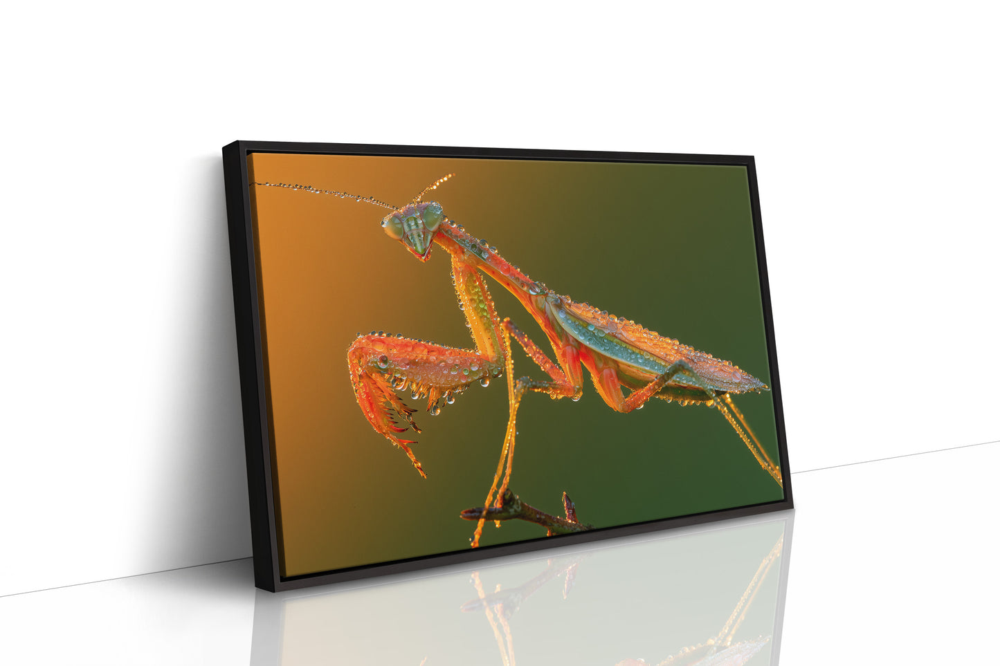 Dew-Kissed Mantis at Dawn