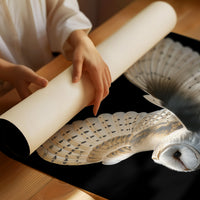 Silent Flight Against Darkness