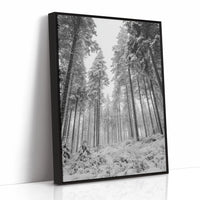 Beneath the Silent Canopy