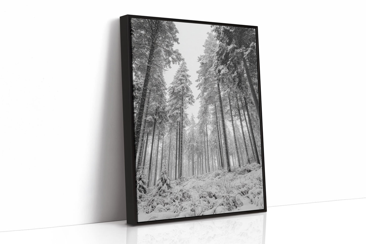 Beneath the Silent Canopy