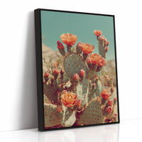Desert Blooms in Radiant Sunlight