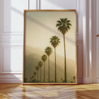 Desert Palms at Dusk