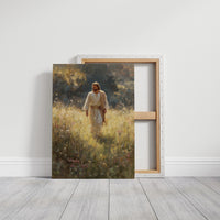 Radiant Path Through Golden Meadow