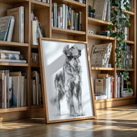 Noble Gaze of Loyalty