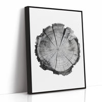 Textured Tree Ring Study