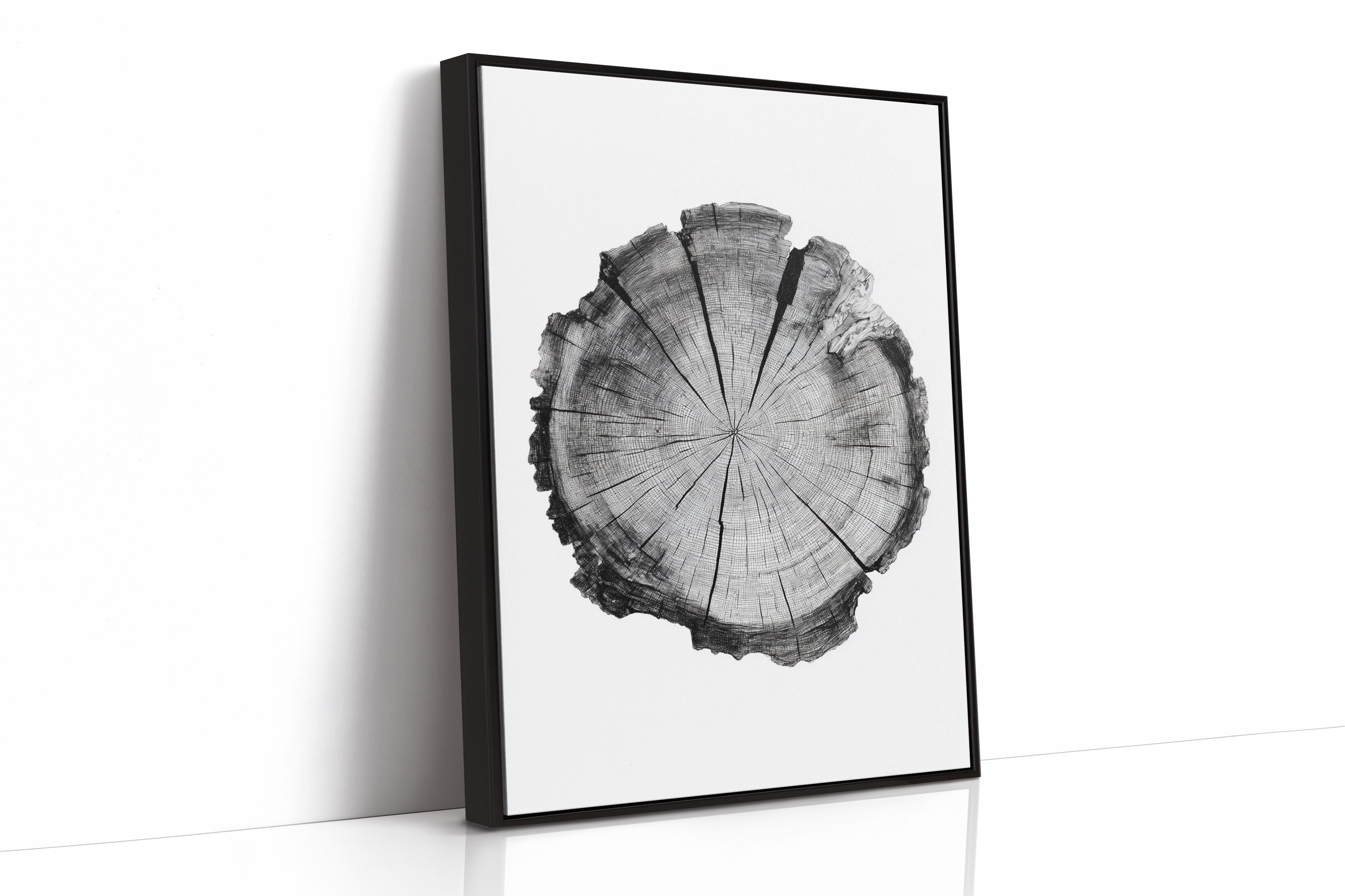 Textured Tree Ring Study