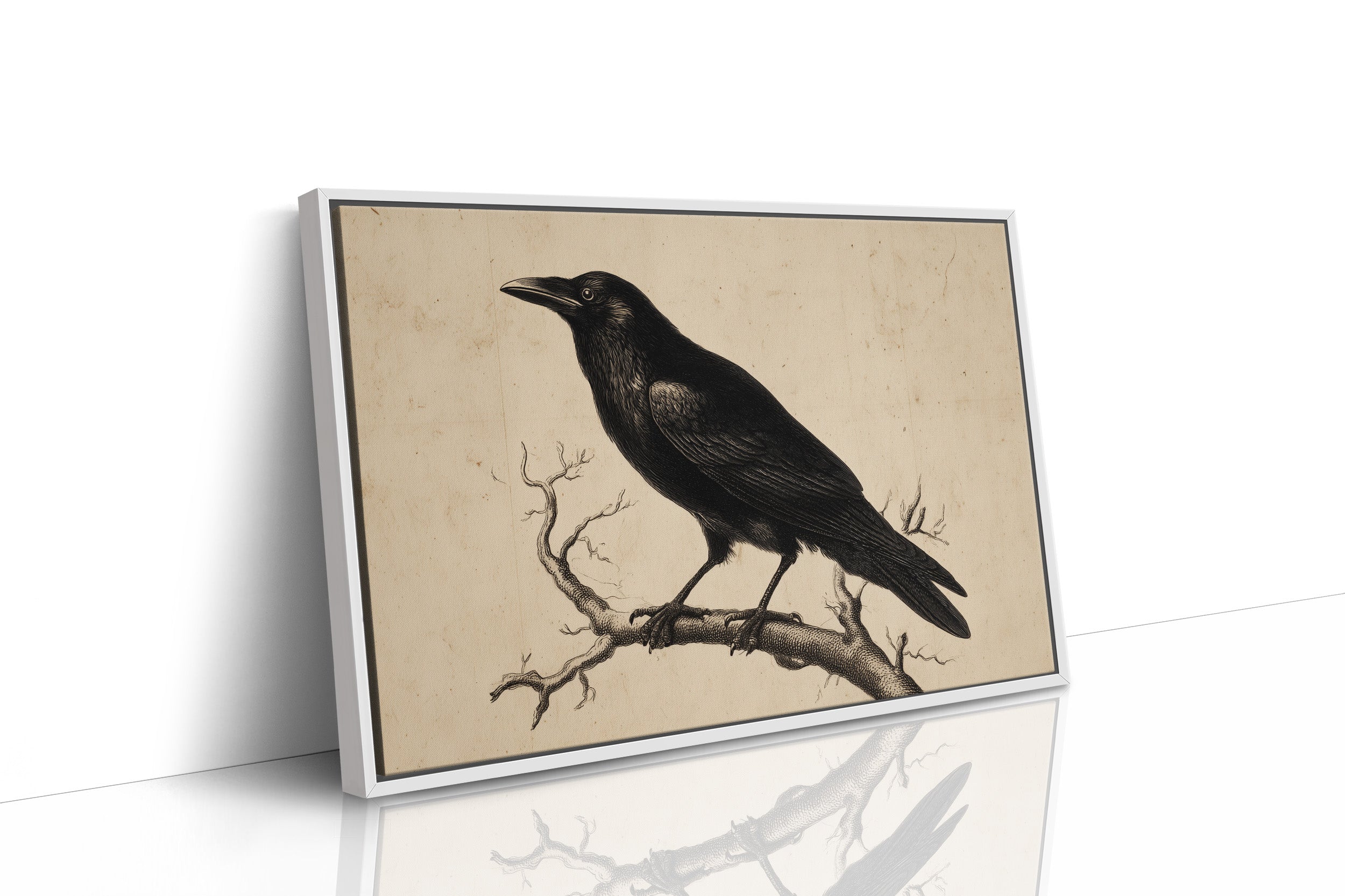 Raven Among Literary Companions