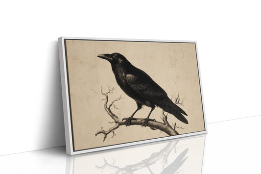 Raven Among Literary Companions