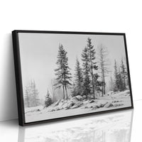 Winter Pines Stand Silent Watch