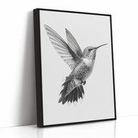 Graceful Hummingbird in Flight