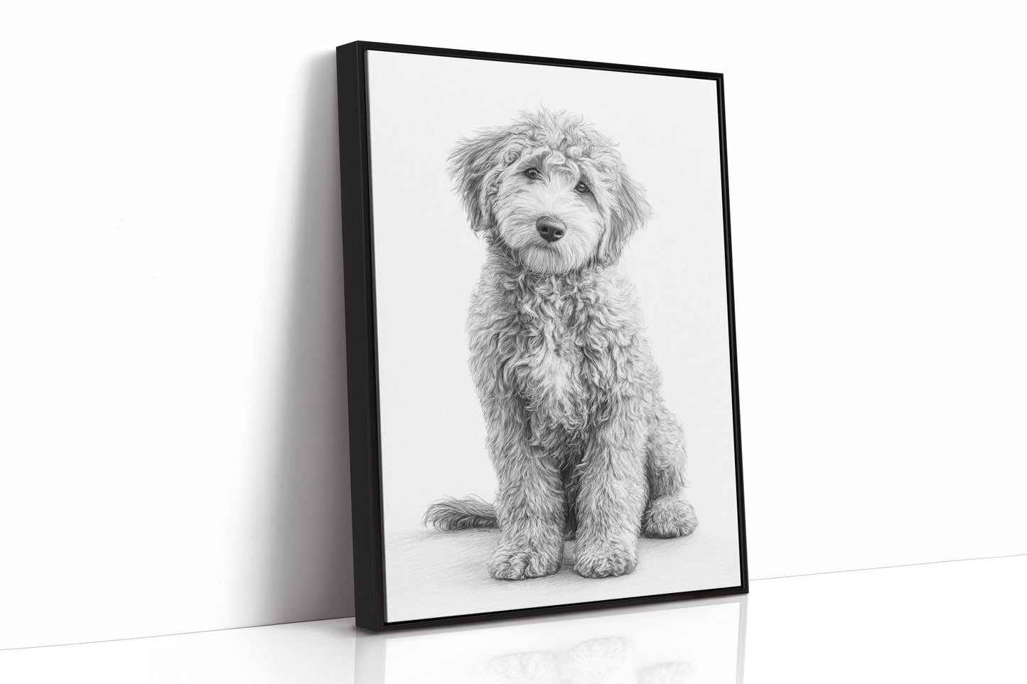 Curly Coat and Kind Eyes