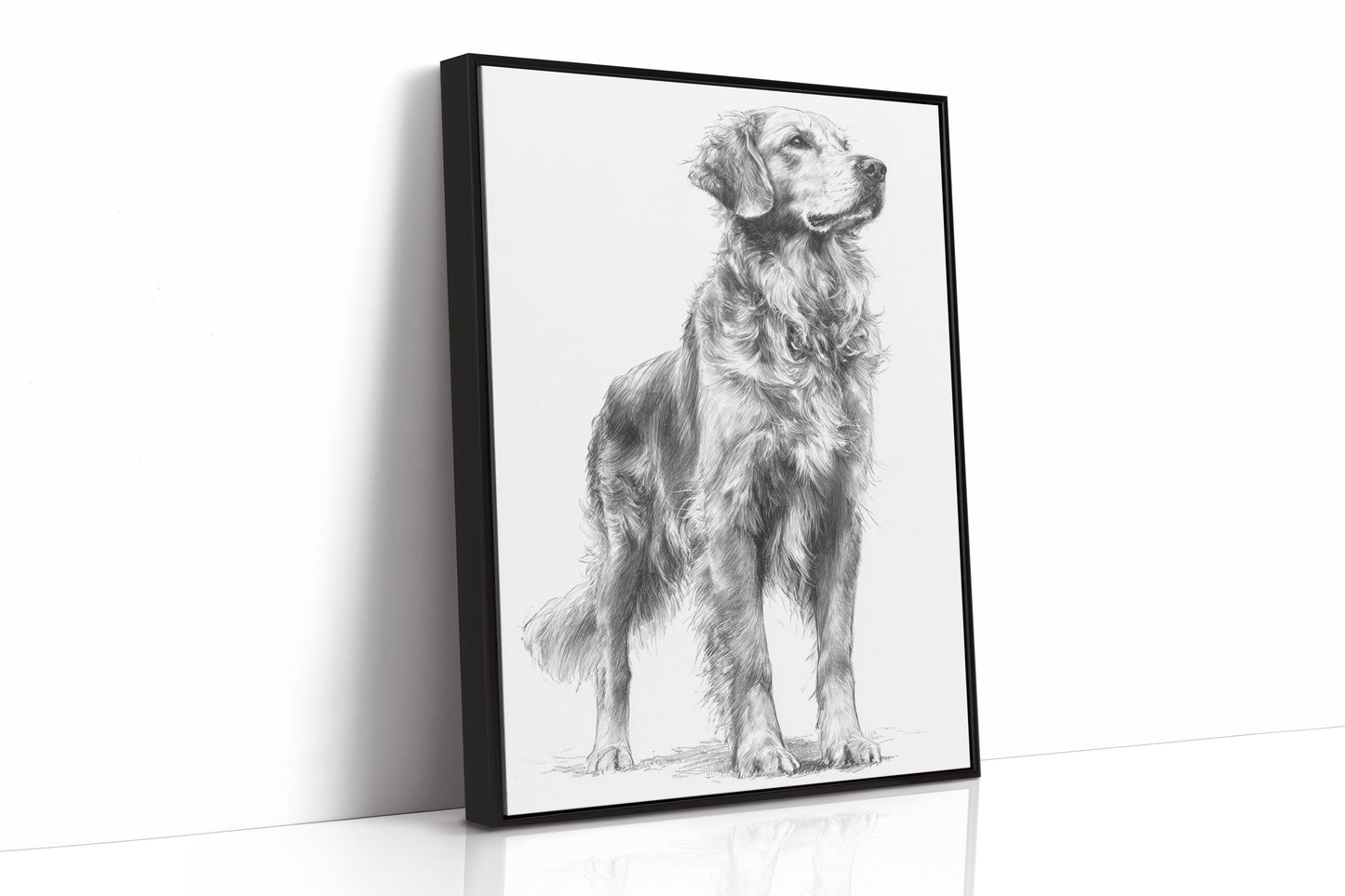 Noble Gaze of Loyalty