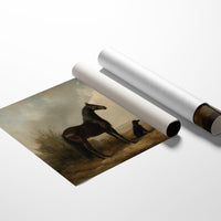 Noble Steed Shares Dawn With Friend