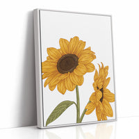 Golden Petals Greet Morning Sun