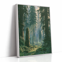 Ancient Stones, Quiet Forest, Secrets Included