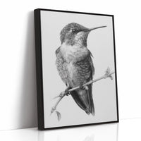 The Stillness of Feathered Grace