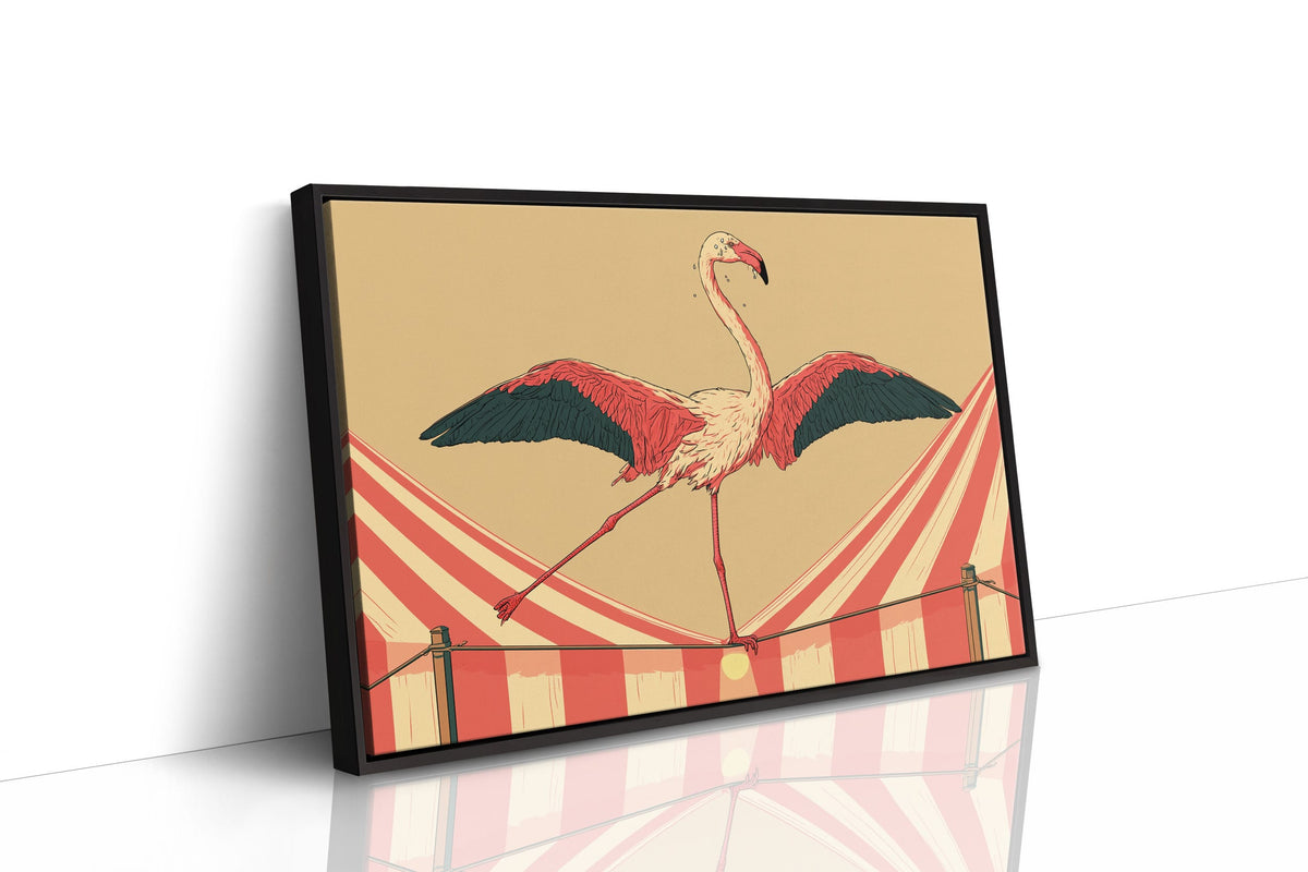 Flamingo Tightrope Circus Act