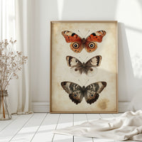 A Tapestry of Winged Wonders