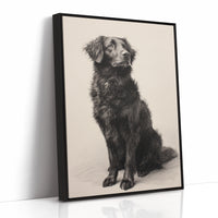 A Loyal Heart's Quiet Vigil