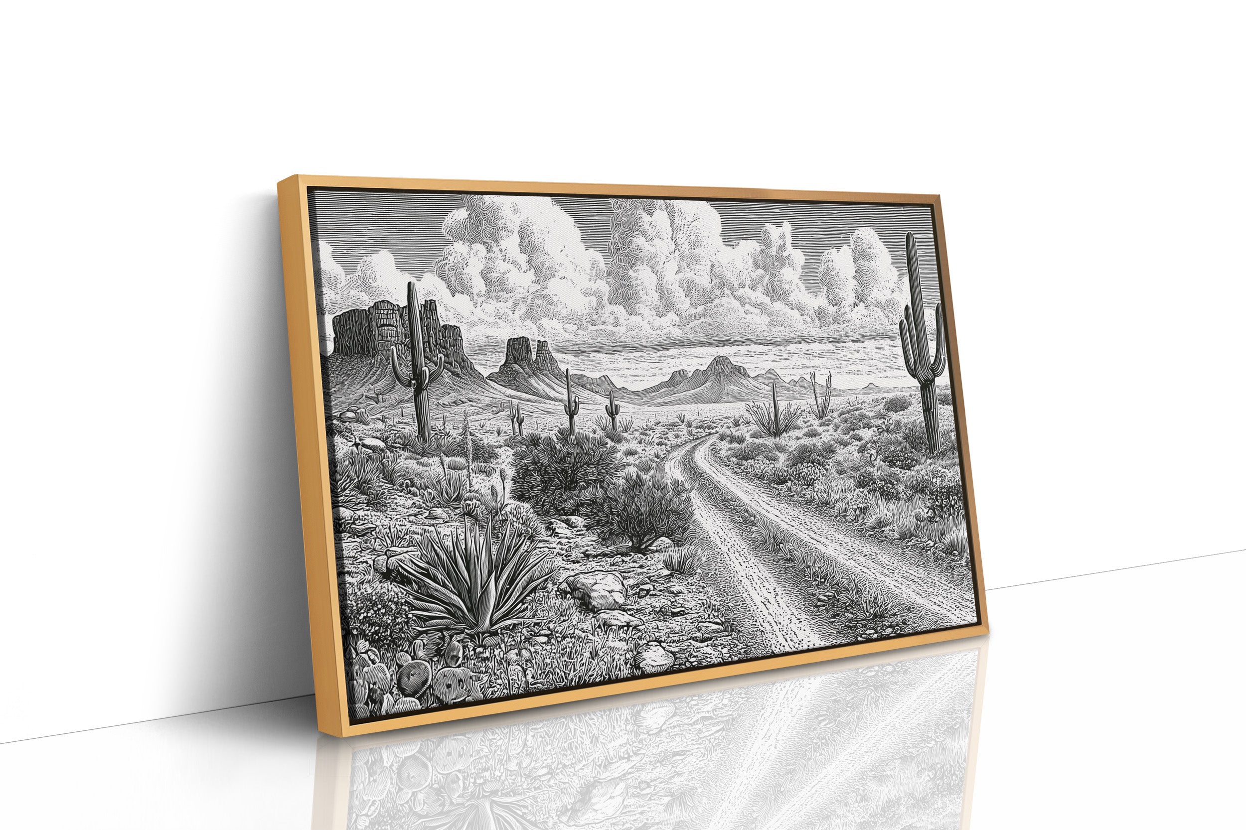 Where the Desert Road Wanders
