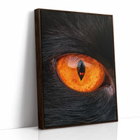 What the Cat's Eye Saw