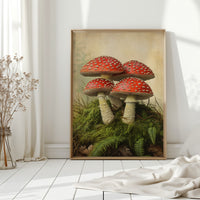 Crimson Mushrooms Emerge