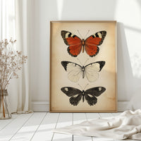 Flight Through Timeless Patterns