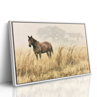 Bay Horse in the Golden Field