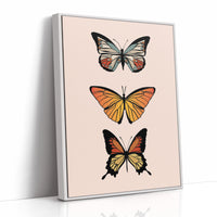 Three Wings Tell Summer Stories