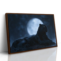 Night Owl, Technically Feline