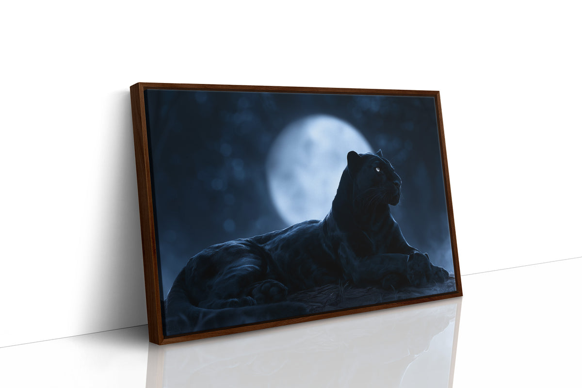 Night Owl, Technically Feline