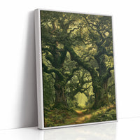 Ancient Oaks Lean In to Whisper