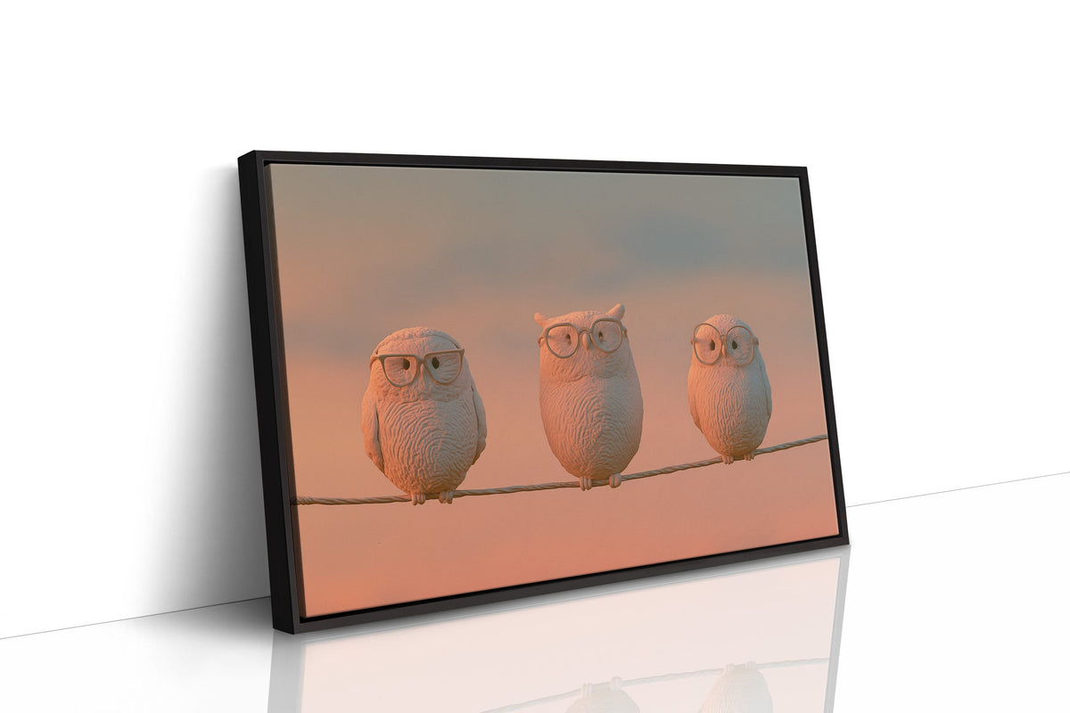 Bespectacled Owls on a Wire