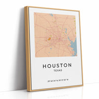 Houston, Mapped in Amber