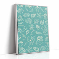 Seashells Draw Maps To Paradise
