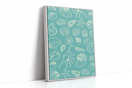 Seashells Draw Maps To Paradise
