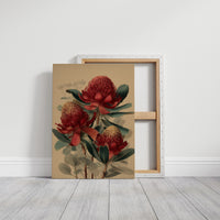 Crimson Waratahs in Bloom