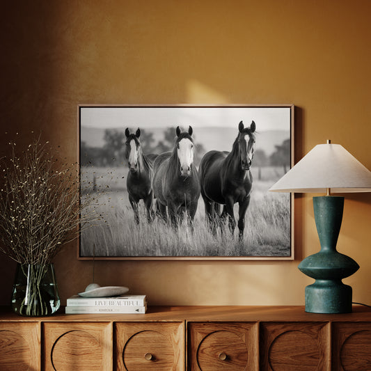 Three Mares Stand Among Prairie Grass