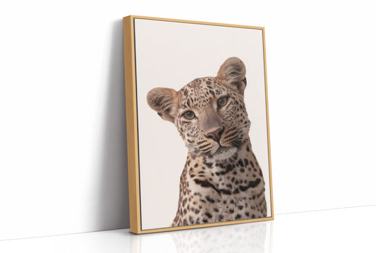 Leopard's Quiet Curiosity