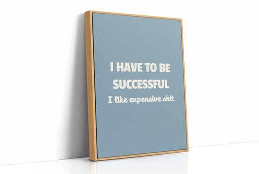 Successful Because I Like Expensive