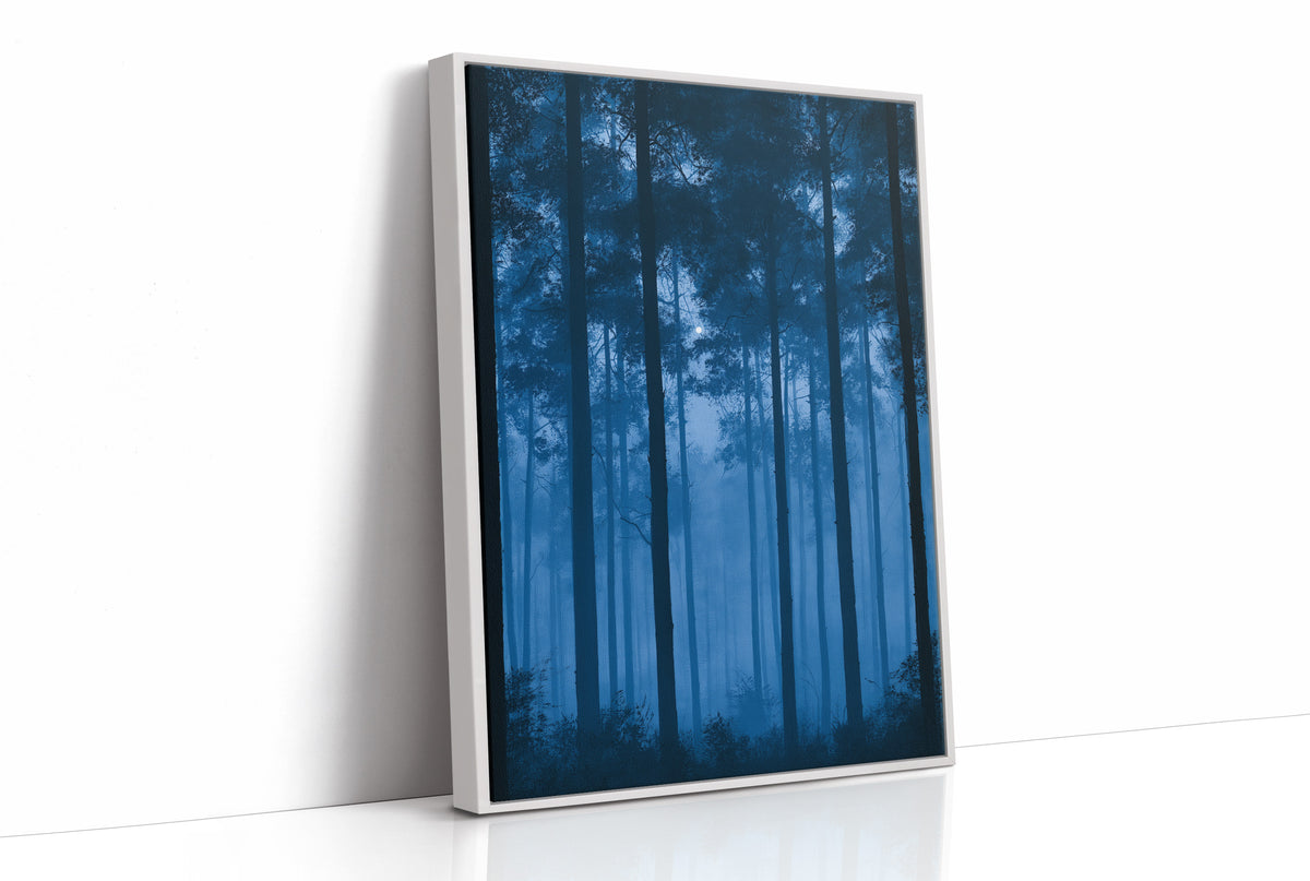 Moonrise Through the Pines