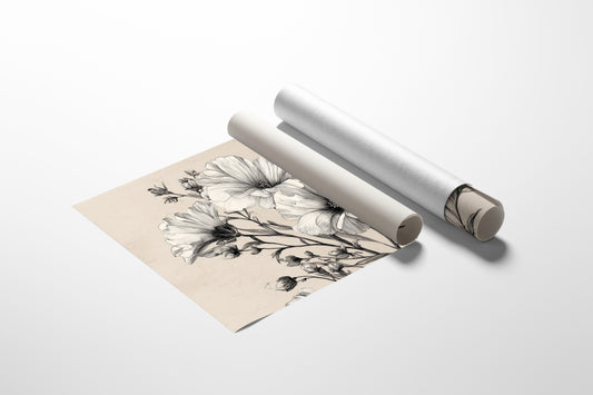 Cosmos Blooms In Graphite Grace