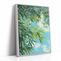 Bamboo Leaves Chase Summer Clouds