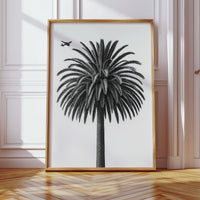 Palm Crown and Passing Plane