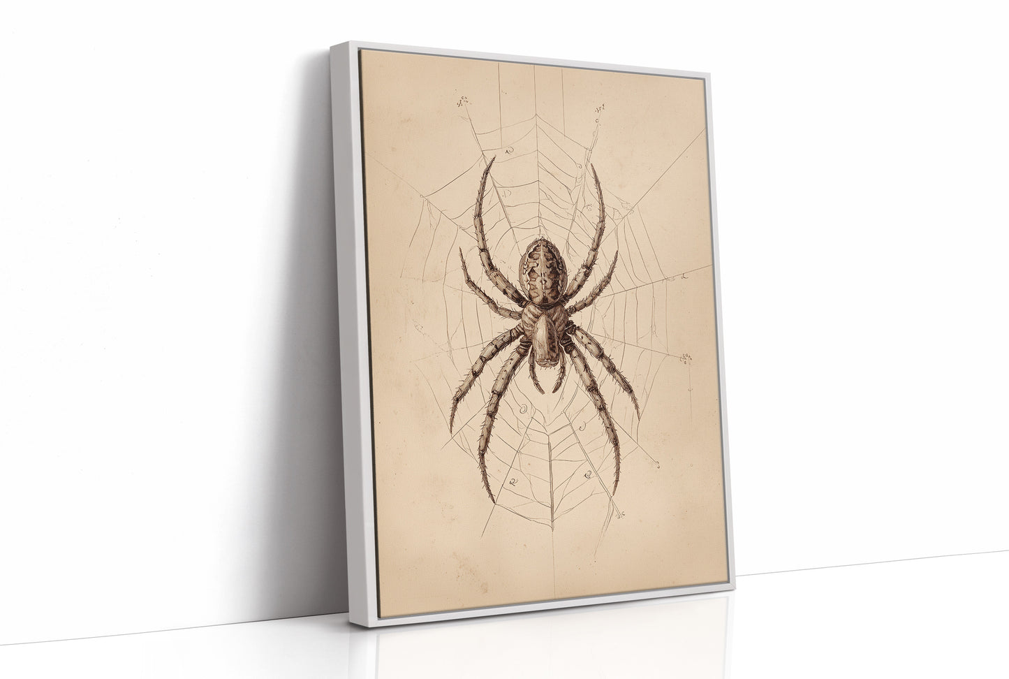 Ancient Weaver's Delicate Architecture