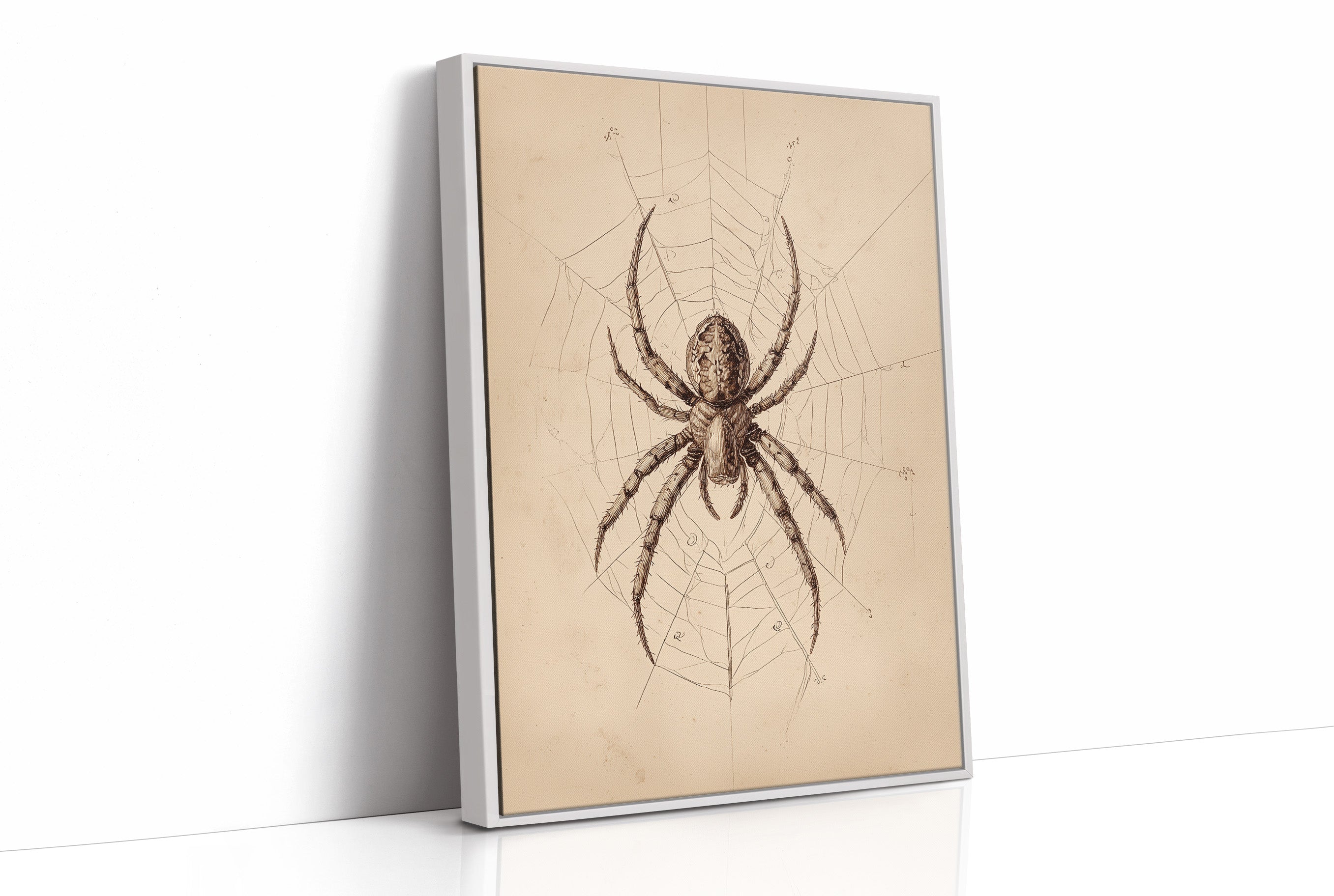 Ancient Weaver's Delicate Architecture